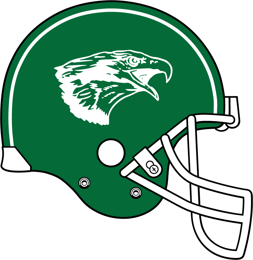 North Texas Mean Green 1994 Helmet diy iron on heat transfer